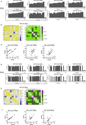 Correlation of HPV16 Gene Status and Gene Expression With Antibody Seropositivity and TIL Status in OPSCC